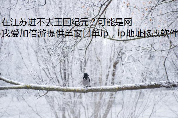 在江苏进不去王国纪元？可能是网络问题！