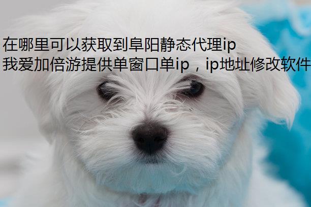 在哪里可以获取到阜阳静态代理ip？