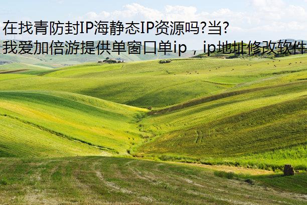 在找青防封IP海静态IP资源吗?当然首选我爱加倍游!