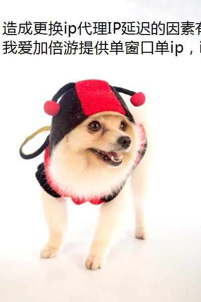 造成更换ip代理IP延迟的因素有哪些?