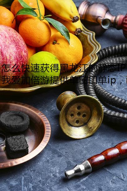 怎么快速获得黑龙江的静态IP？我爱加倍游来帮你