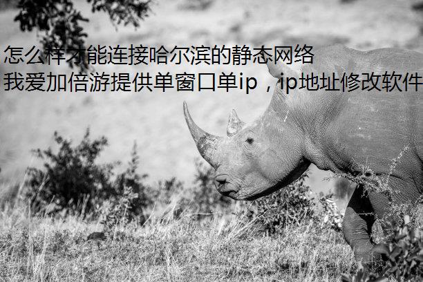 怎么样才能连接哈尔滨的静态网络呢?试试模拟器ip我爱加倍游