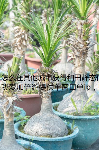 怎么在其他城市获得和田静态代理ip？