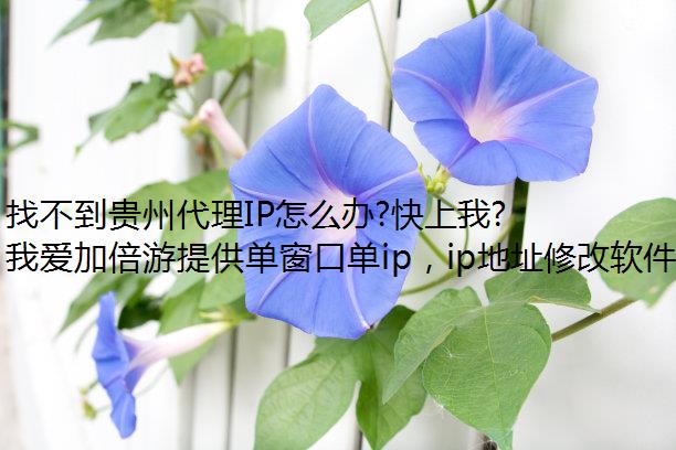 找不到贵州代理IP怎么办?快上我爱加倍游模拟器ip看看吧!